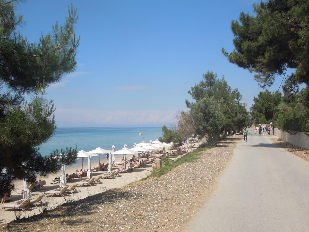 Sunshine Apartment Paralia Dionisiou Eksteriør billede